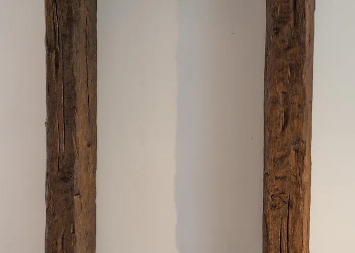 Domus San Vitale Apartment